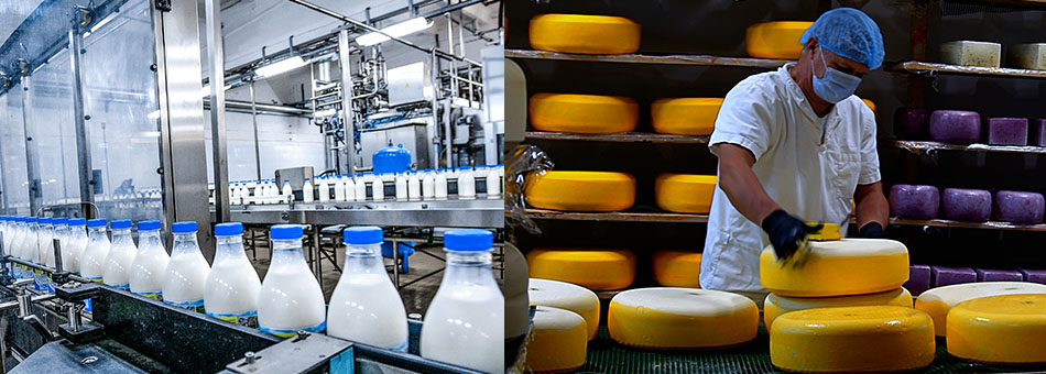 sectors_0002_Dairy