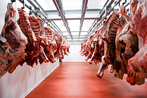 supporting-the-industry-meat
