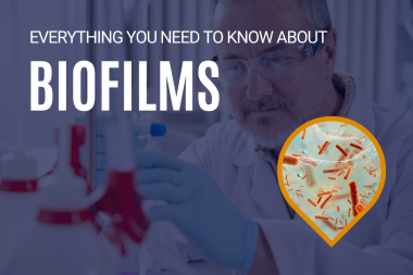 Supporting image for Everything you need to know about Biofilms